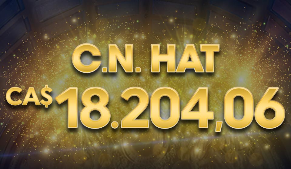 

											C.N. HAT CA$18.204,06

										