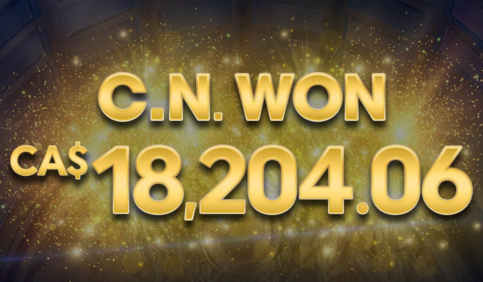 

											C.N. WON CA$18,204.06

										