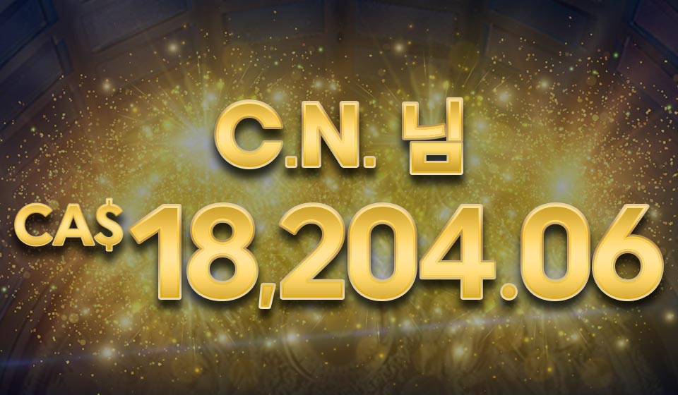 

											C.N. 님 CA$18,204.06

										