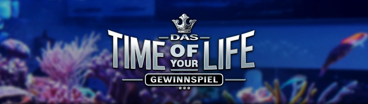 

										Das Time Of Your Life Gewinnspiel

									