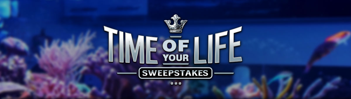 

										Time Of Your Life Sweepstakes

									