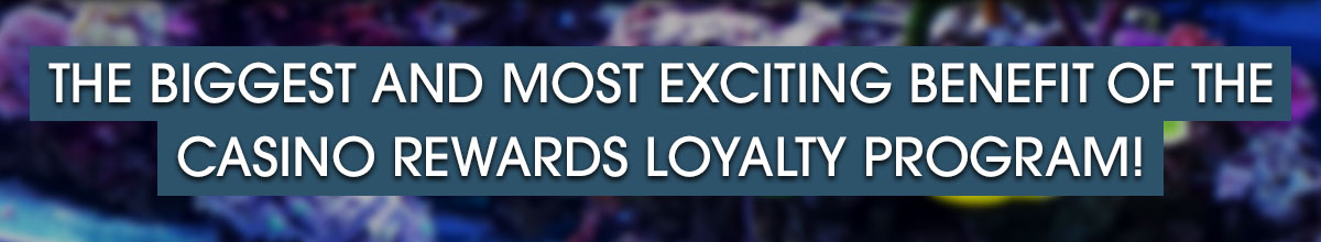 

										The biggest and most exciting benefit of the Casino Rewards Loyalty Program!

									