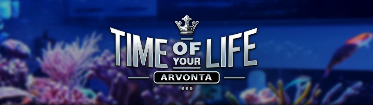 

										Time Of Your Life Arvonta

									