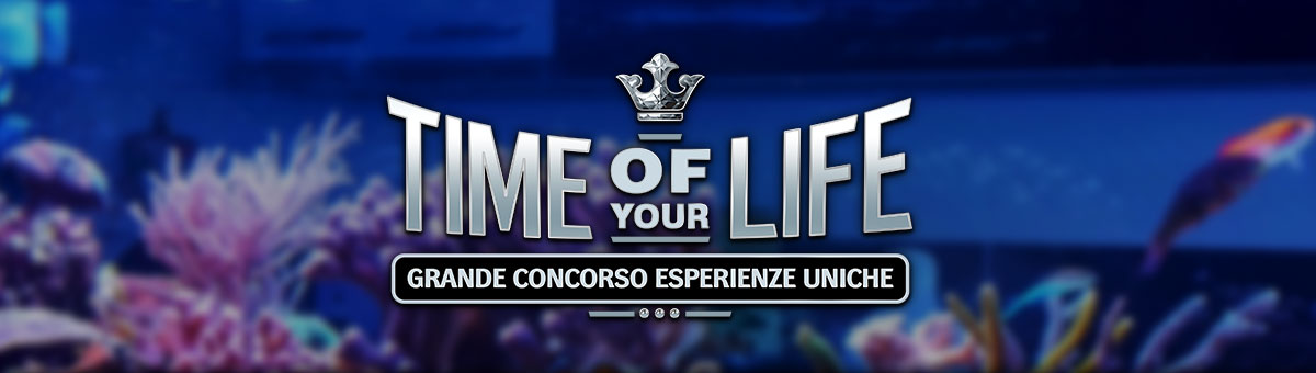 

										Grande Concorso Esperienze Uniche - Time Of Your Life

									