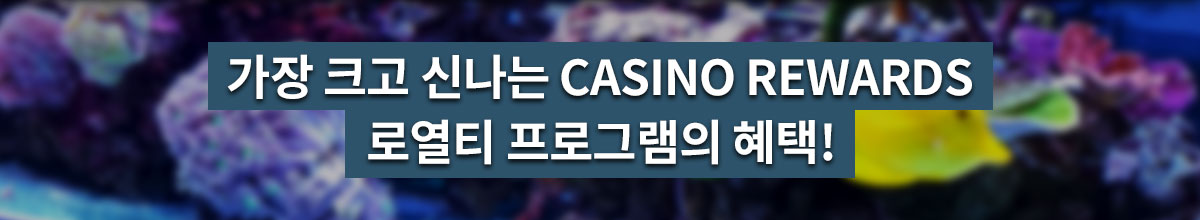 

										가장 크고 신나는Casino Rewards 로열티 프로그램의 혜택!

									