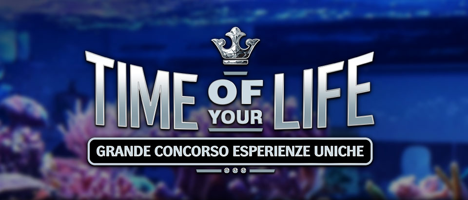 

										Grande Concorso Esperienze Uniche - Time Of Your Life

									