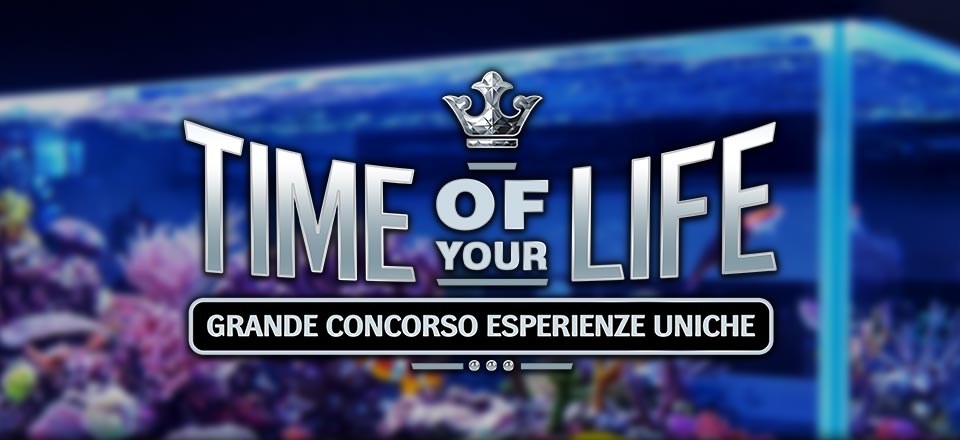 

											Grande Concorso Esperienze Uniche - Time Of Your Life

										